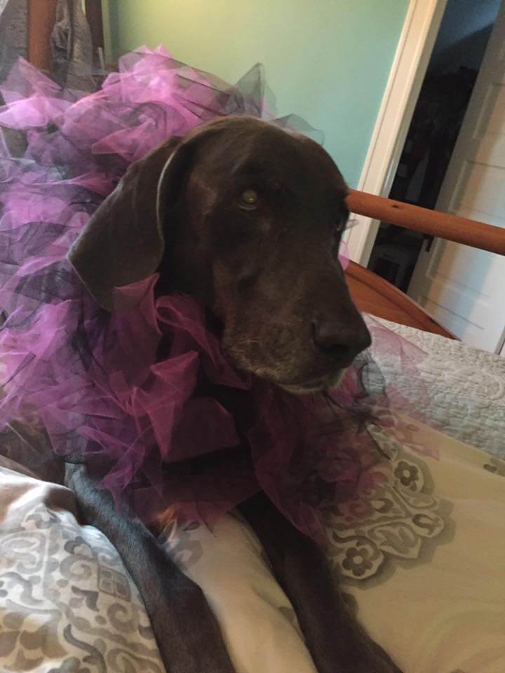 Jack Bauer in a Scarf