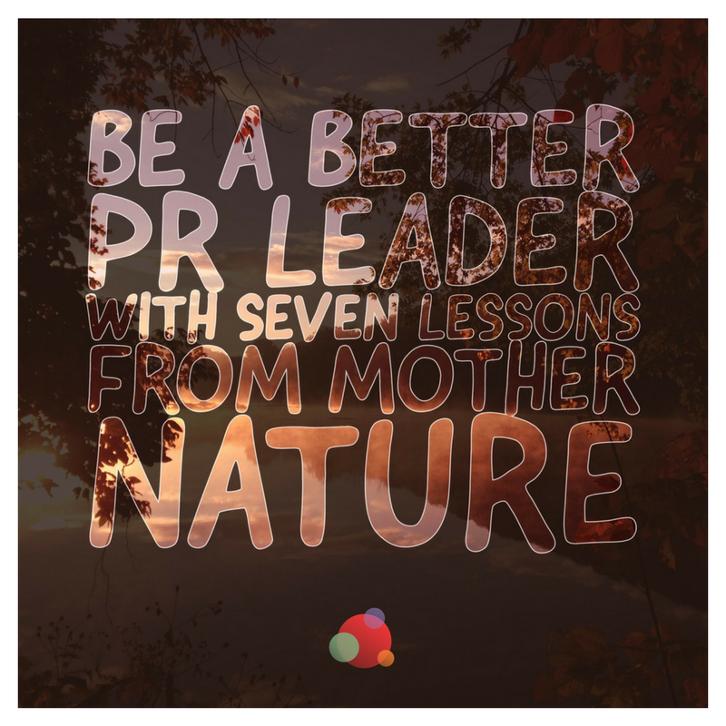 Be a Better PR Leader with Seven Lessons from Mother Nature