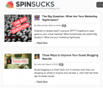 The Ultimate Blog Checklist And Guide For Bloggers - Spin Sucks