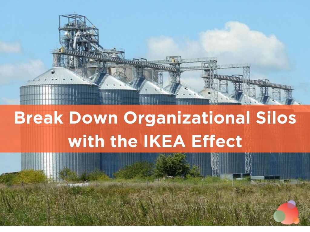Break Down Organizational Silos with the IKEA Effect