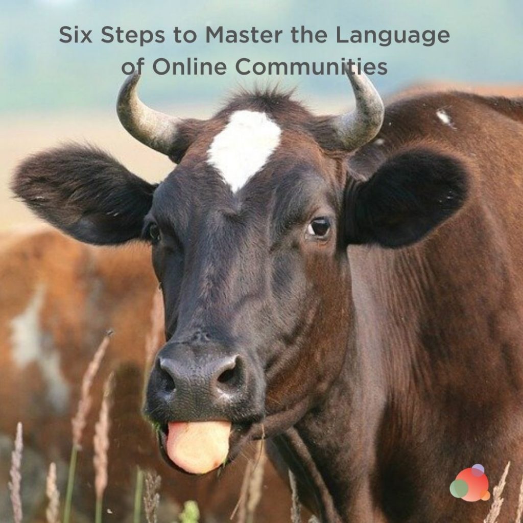 Six Steps to Master the Language of Online Communities