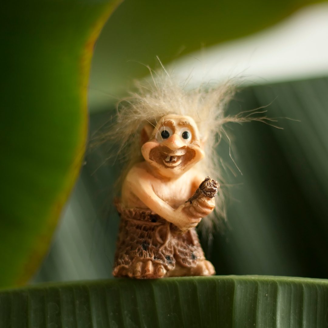 Enjoy the Fruits of User-Generated Content with Social Media Moderation