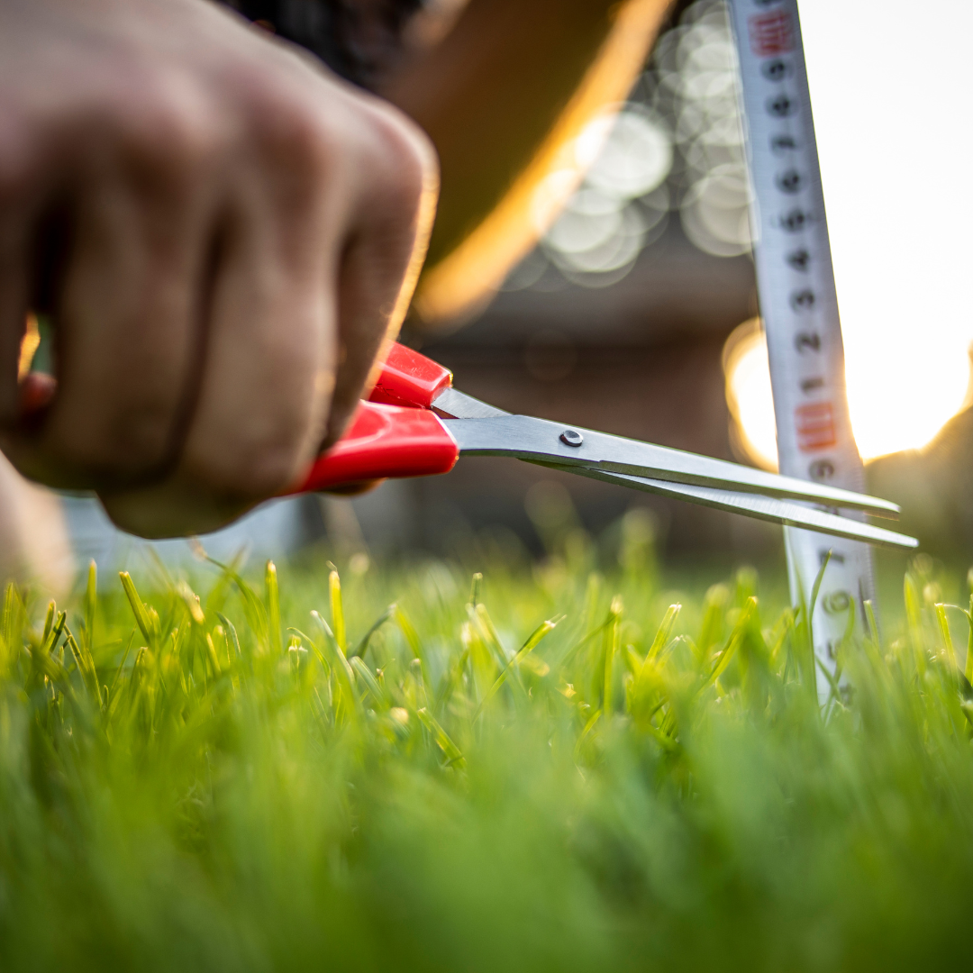 How to Become a Recovering Perfectionist