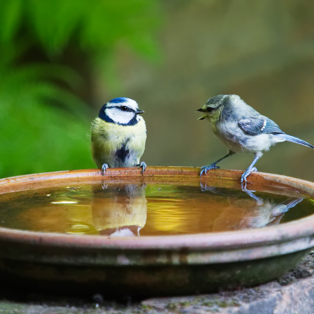 Leveraging Comments for PR