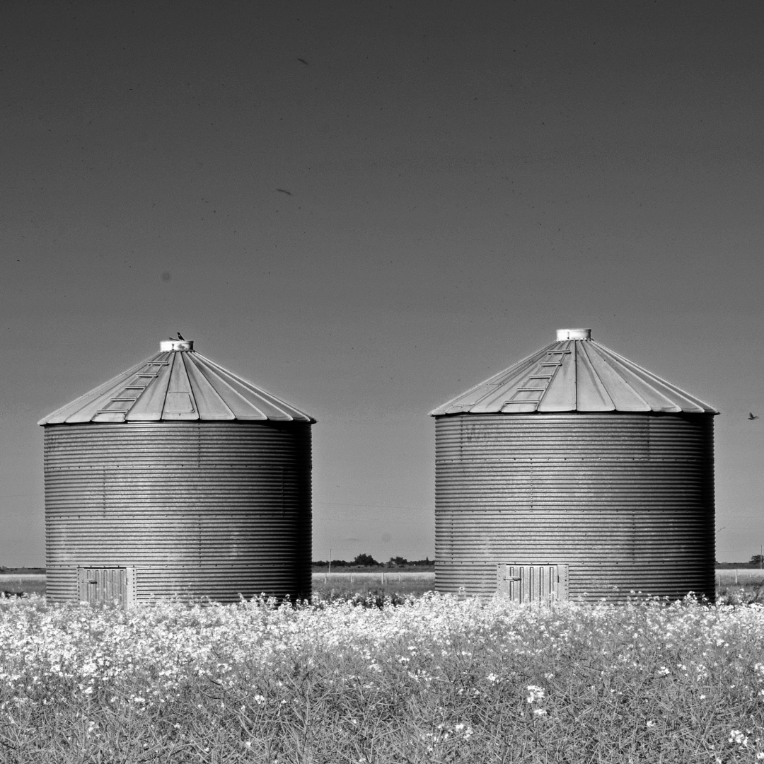 How the PESO Model Breaks Silos and Boosts Results