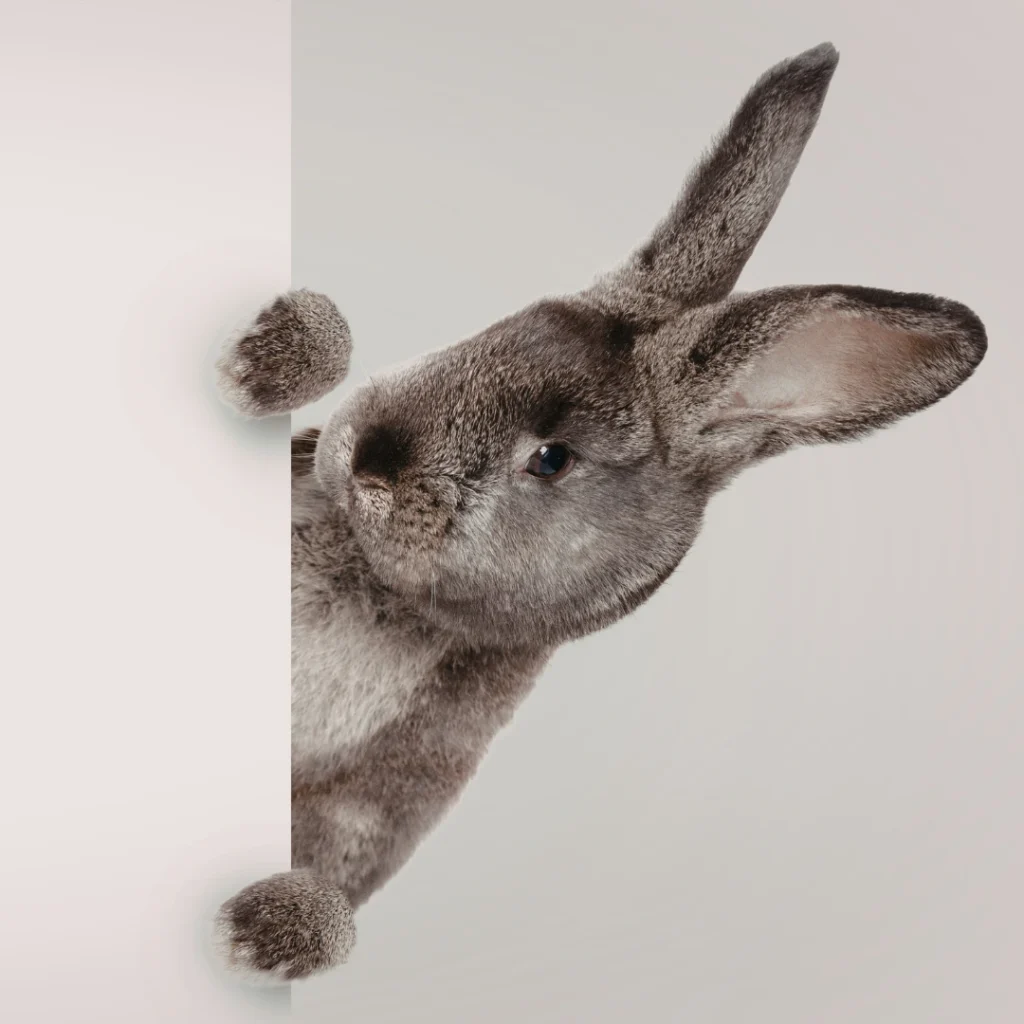 Why Brands Need a Strategy for Continuous Discovery