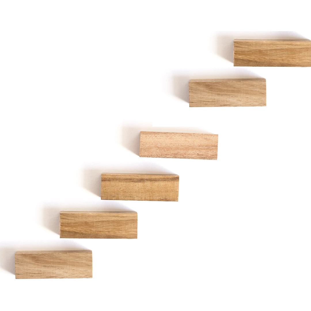 The Six Stages of PESO Model® Maturity
